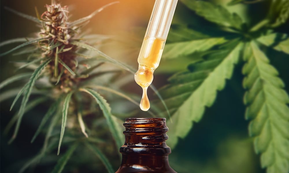 cbd oil tincture