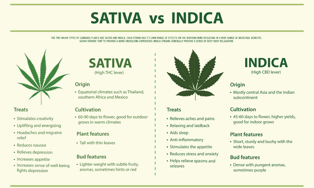 indica vs sativa